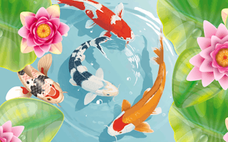 Idle Koi Pond