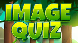 Image Quiz