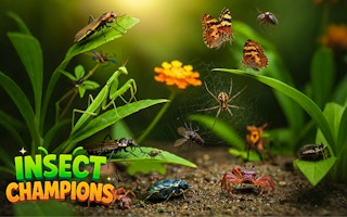 Insect Champions
