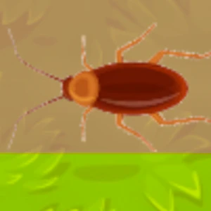 Insect Crusher