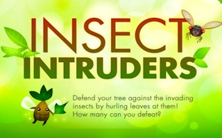 Insect Intruders game cover