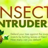 Insect Intruders