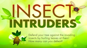 Image for Insect Intruders