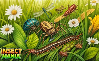 Juega gratis a Insect Mania