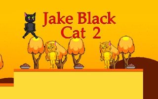 Jake Black Cat 2 game cover