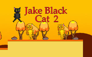 Jake Black Cat 2 game cover
