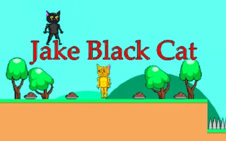 Jake Black Cat game cover