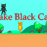 Jake Black Cat