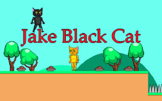 Jake Black Cat game cover