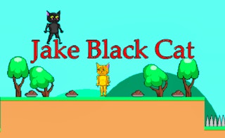 Jake Black Cat game cover