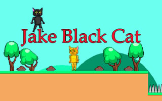 Jake Black Cat