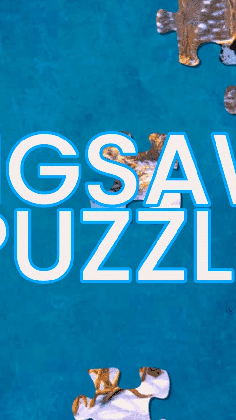 Jigsaw Puzzle Animo