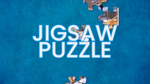 Image for Jigsaw Puzzle Animo