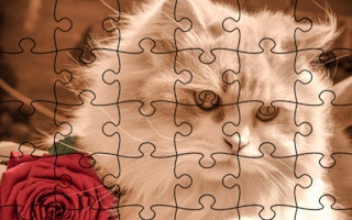 Jigsaw Puzzle: Cats game cover