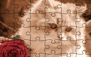 Jigsaw Puzzle: Cats game cover