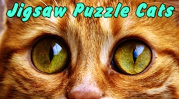 Jigsaw Puzzle Cats