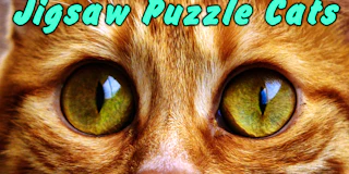 Jigsaw Puzzle Cats thumbnail