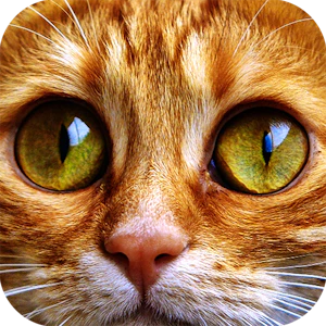 Jigsaw Puzzle Cats Thumbnail