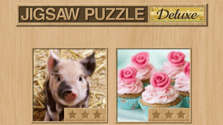 Jigsaw Puzzle Deluxe game cover