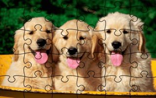 Jigsaw Puzzle - Doggies game cover