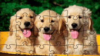 Jigsaw Puzzle: Doggies game cover