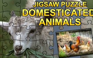 Jigsaw Puzzle: Domesticated Animals