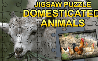 Jigsaw Puzzle: Domesticated Animals game cover