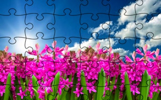 Jigsaw Puzzle - Flowers game cover