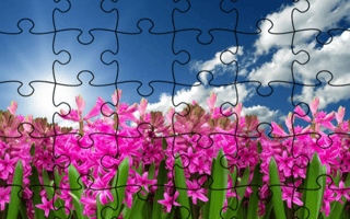 Jigsaw Puzzle - Flowers game cover