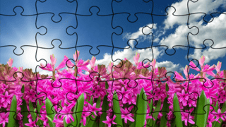 Jigsaw Puzzle: Flowers game cover