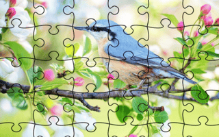 Jigsaw Puzzle - Spring game cover