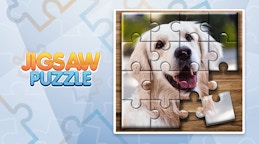 Jigsaw Puzzle