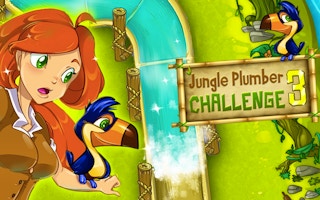 Jungle Plumber Challenge 3