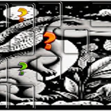 Jurasic Memory Match
