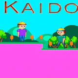 Kaido