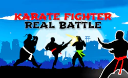 Karate Fighter Real Battles