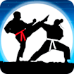 Karate Fighter Real Battles banner