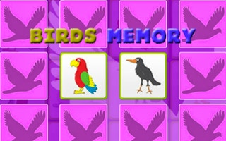 Kids Memory With Birds game cover