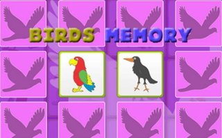Kids Memory With Birds game cover