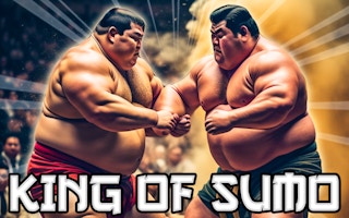 King Of Sumo game cover