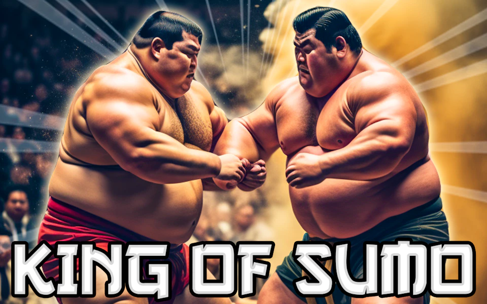 King Of Sumo game cover
