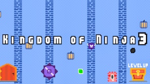 Image for Kingdom of Ninja 3