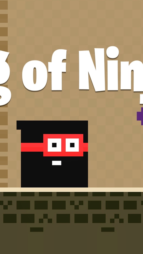 Kingdom of Ninja 4