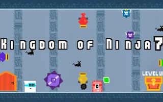 Kingdom of Ninja 7