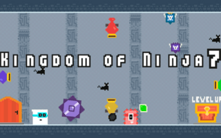 Kingdom of Ninja 7