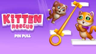 Kitten Rescue - Pin Pull game cover