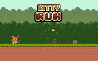 Kitty Run