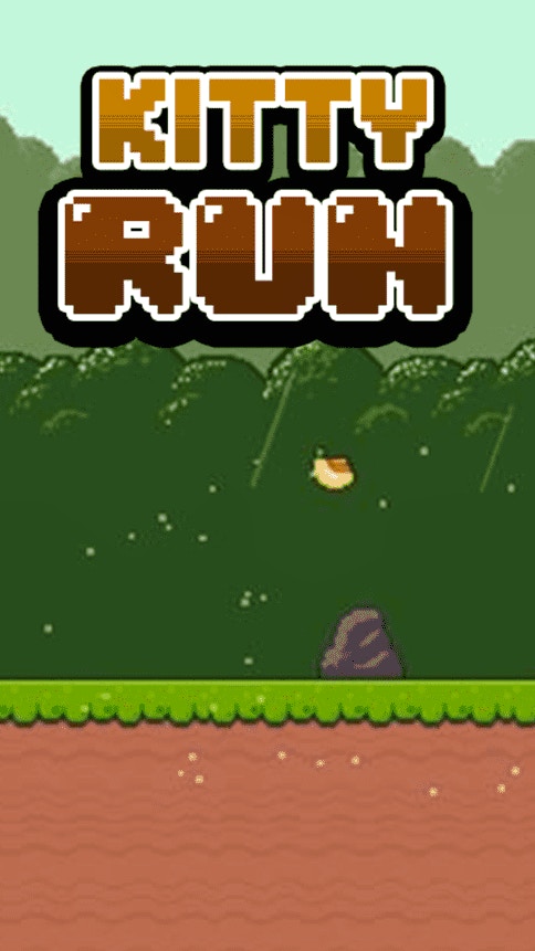 Kitty Run