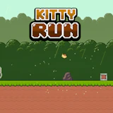 Kitty Run