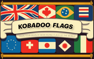Kobadoo Flags game cover